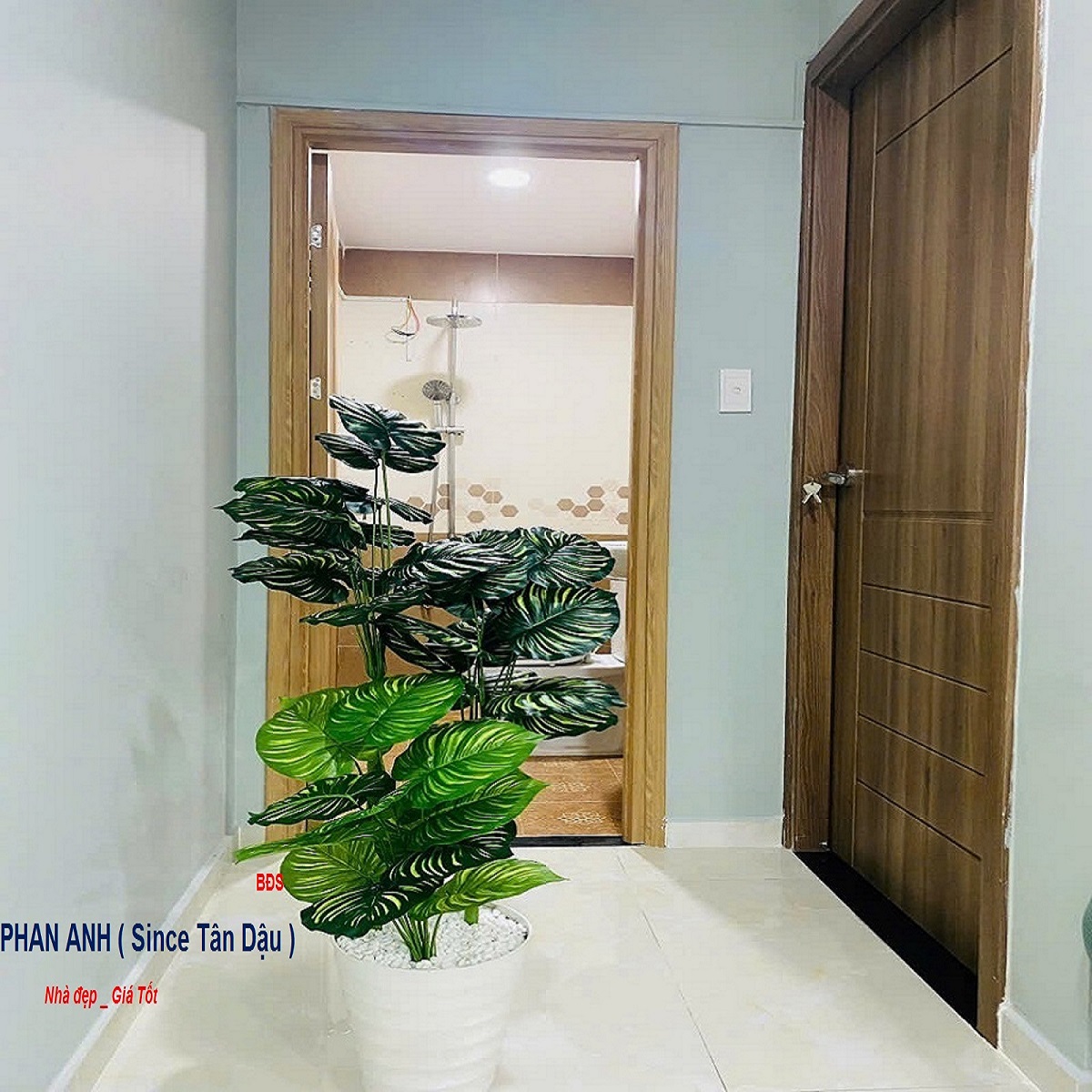🏠 Bán Gấp Nhà Phố Đặng Văn Bi, Thủ Đức - 3 Mặt Tiền Hiếm Có! - Ảnh 2